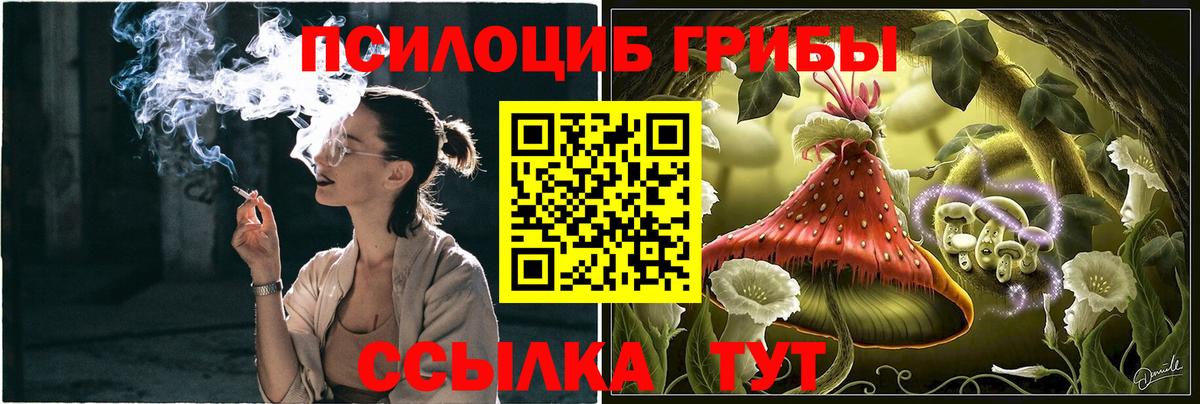 Галлюциногенные грибы прущие грибы Орёл