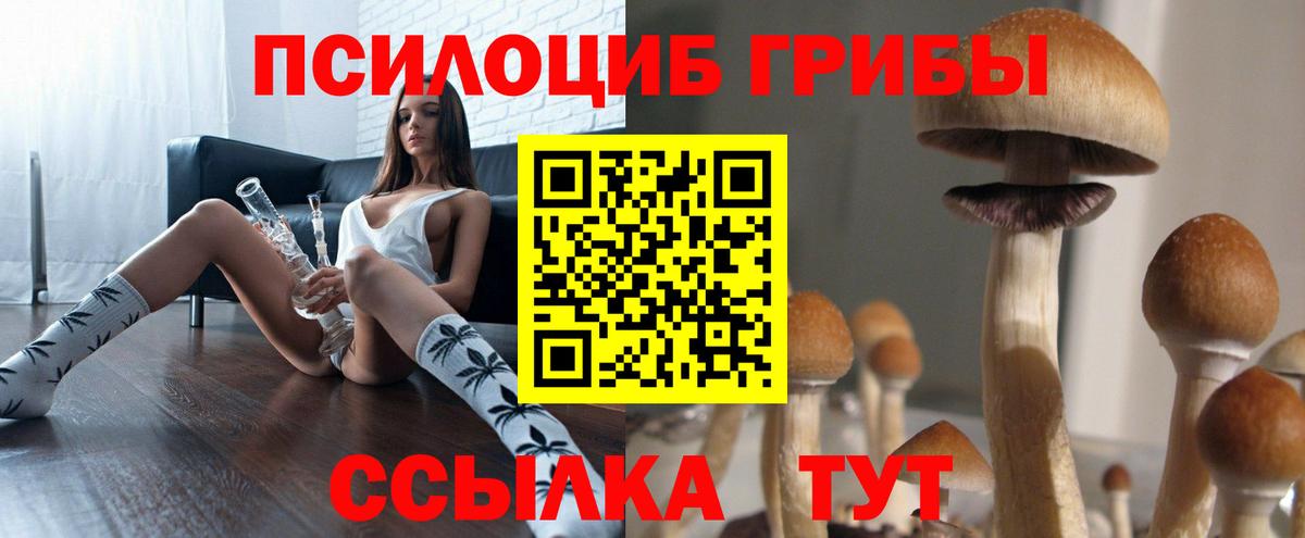 Галлюциногенные грибы Psilocybe  Галлюциногенные грибы GOLDEN TEACHER  Вход с VPN  купить наркотики цена  Орёл 